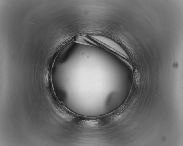 X0000096390692200802071537