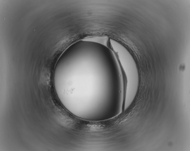 X0000096390693200802071537