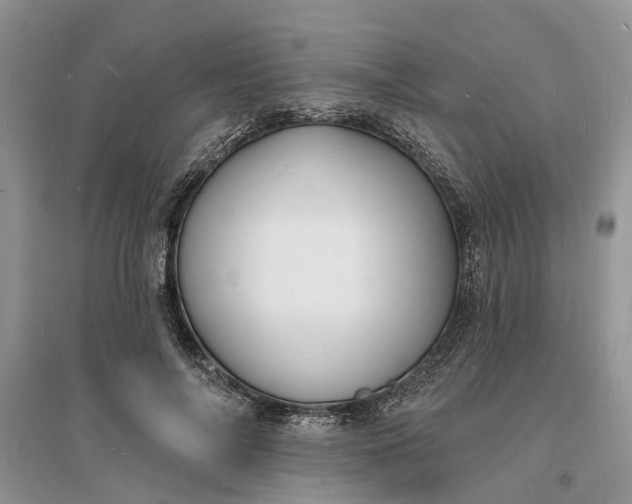X0000096390694200802071537