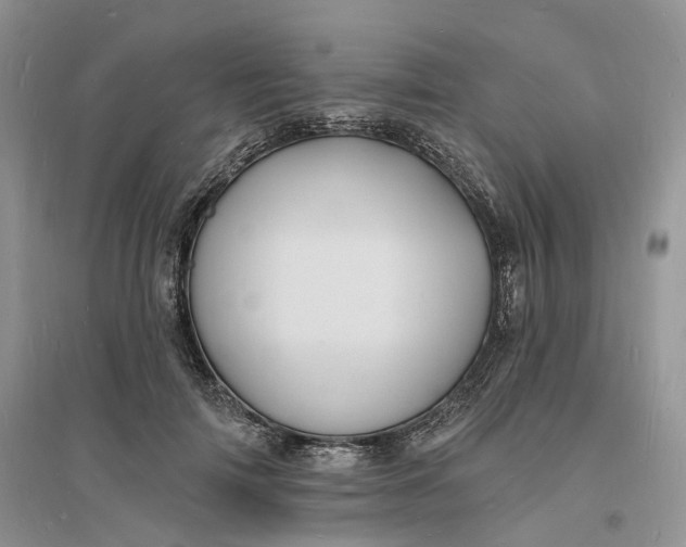 X0000096390698200802071537