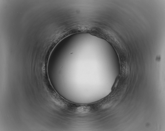 X0000096390700200802071537