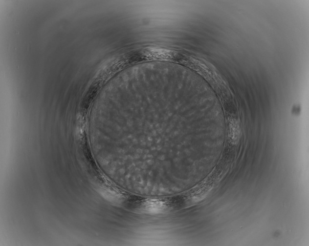 X0000096390701200802071537