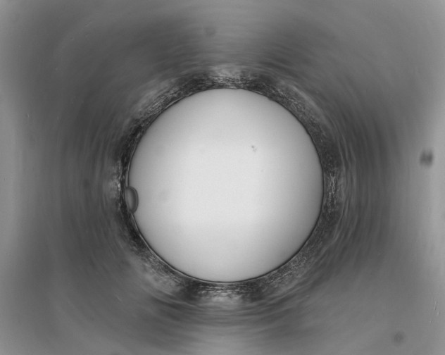 X0000096390702200802071537