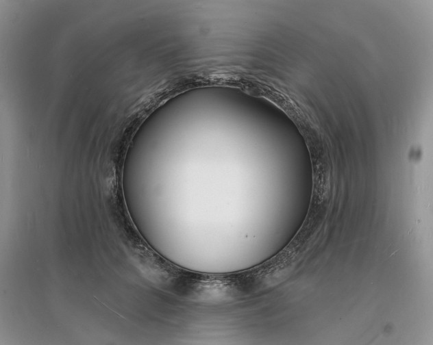 X0000096390704200802071537