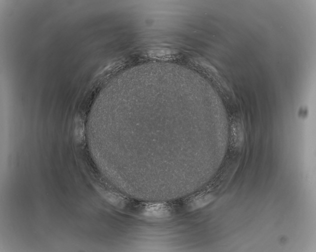X0000096390705200802071537