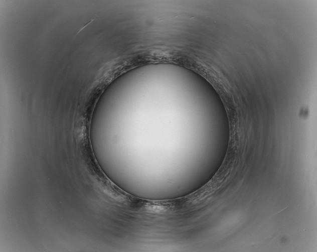 X0000096390706200802071537
