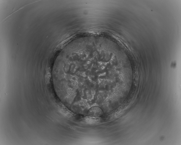 X0000096390707200802071537