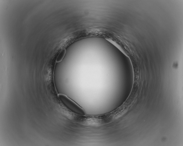 X0000096390708200802071537