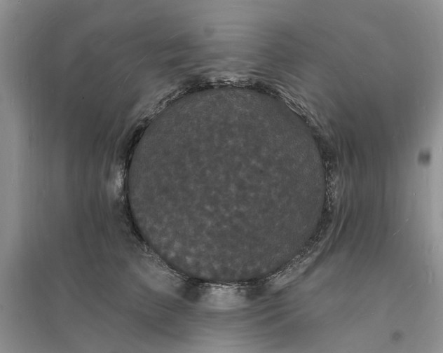 X0000096390709200802071537