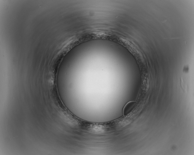 X0000096390710200802071537