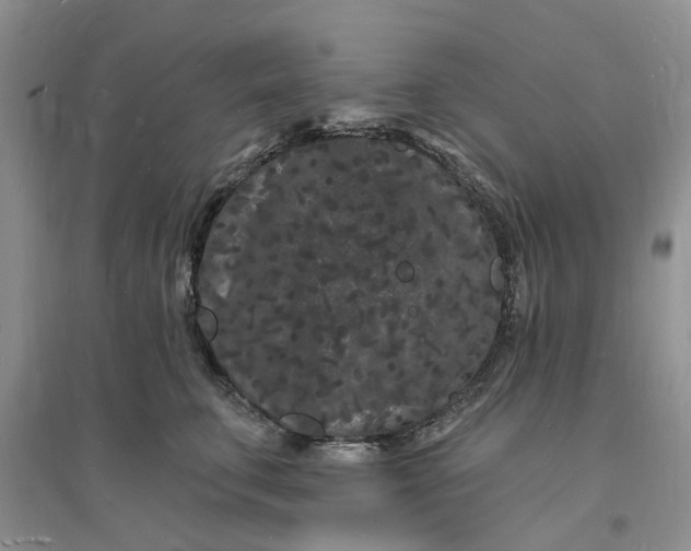 X0000096390711200802071537