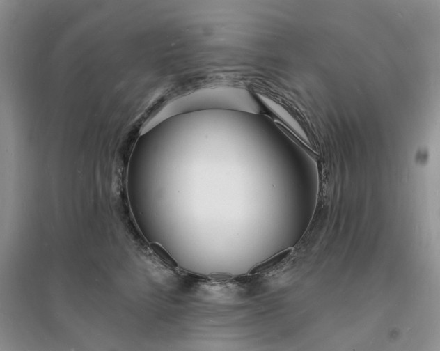 X0000096390712200802071537