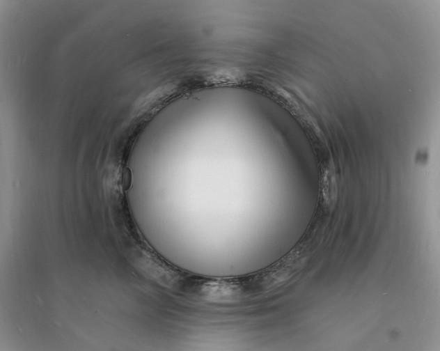 X0000096390714200802071537
