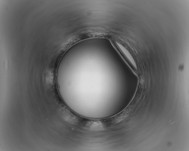 X0000096390715200802071537