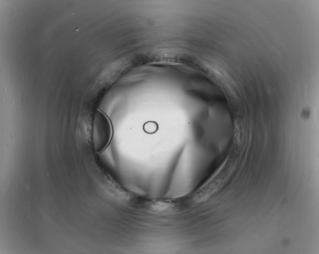 X0000096390718200802071537