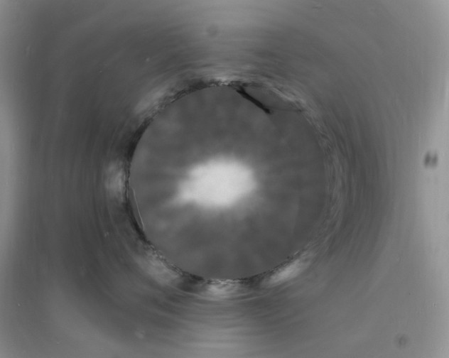X0000096390720200802071537