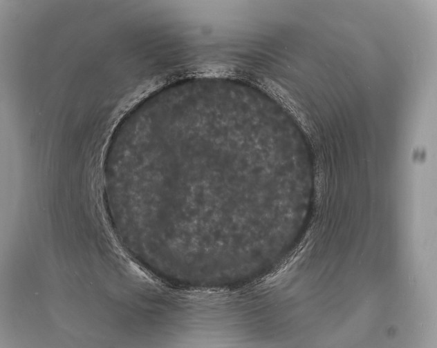 X0000096390721200802071536