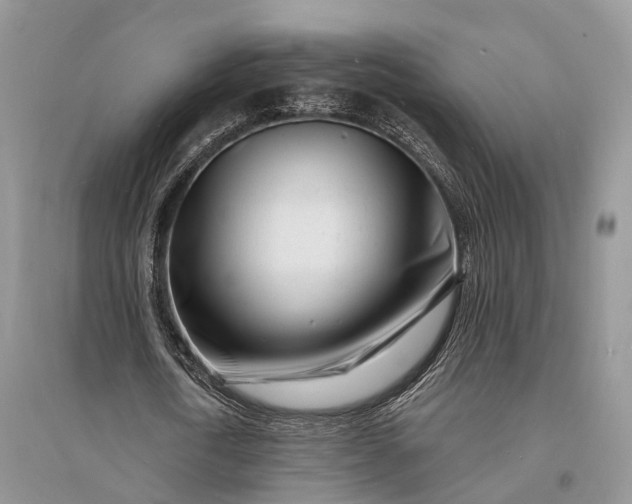 X0000096390722200802071536