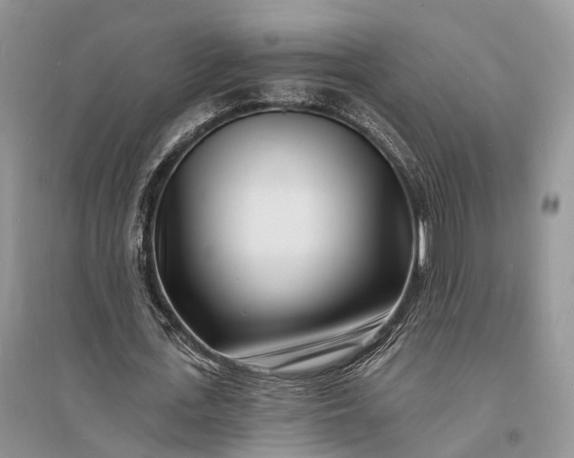 X0000096390723200802071536