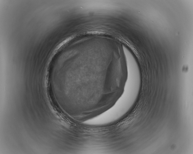 X0000096390724200802071536