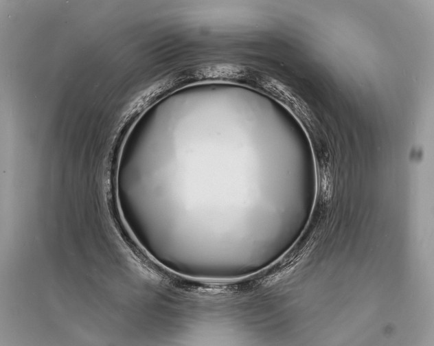 X0000096390725200802071536