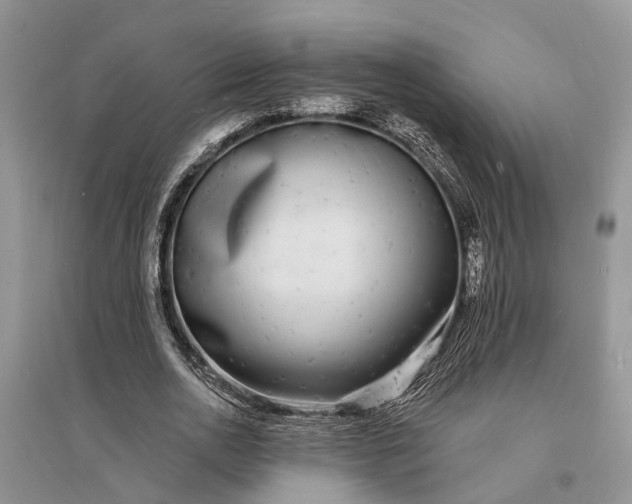 X0000096390726200802071536
