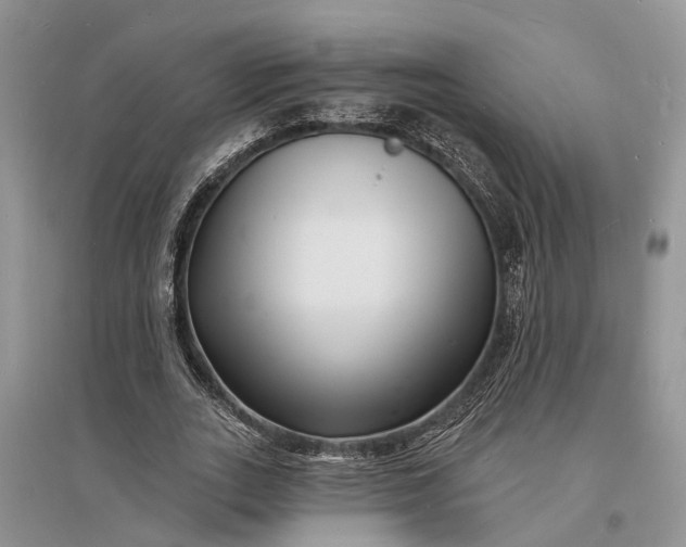 X0000096390727200802071536