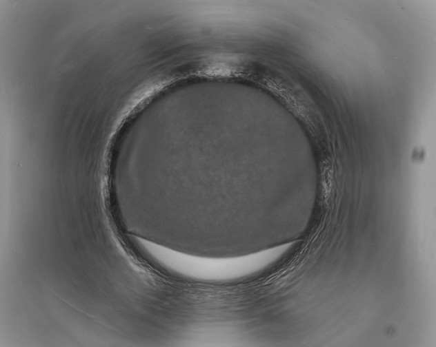 X0000096390728200802071536