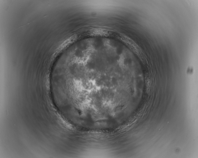 X0000096390729200802071536