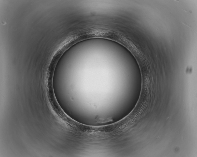 X0000096390730200802071536