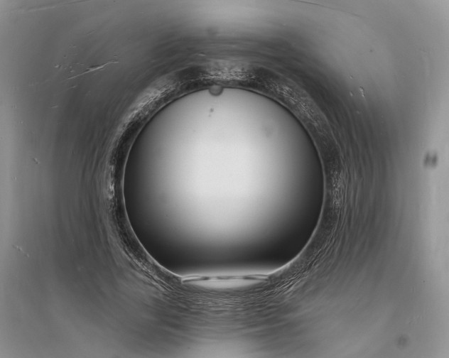 X0000096390731200802071536