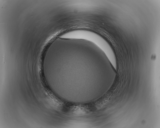 X0000096390732200802071536