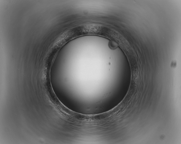 X0000096390735200802071536