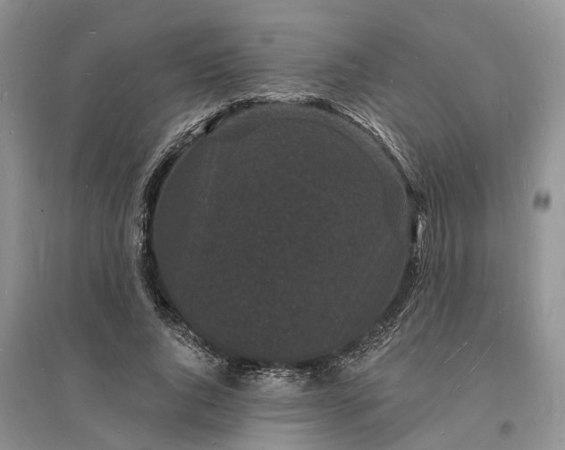 X0000096390736200802071536