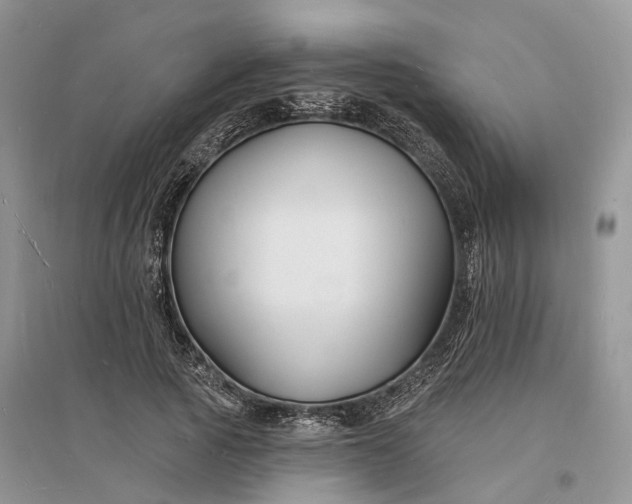 X0000096390737200802071536