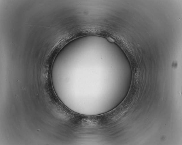 X0000096390739200802071536