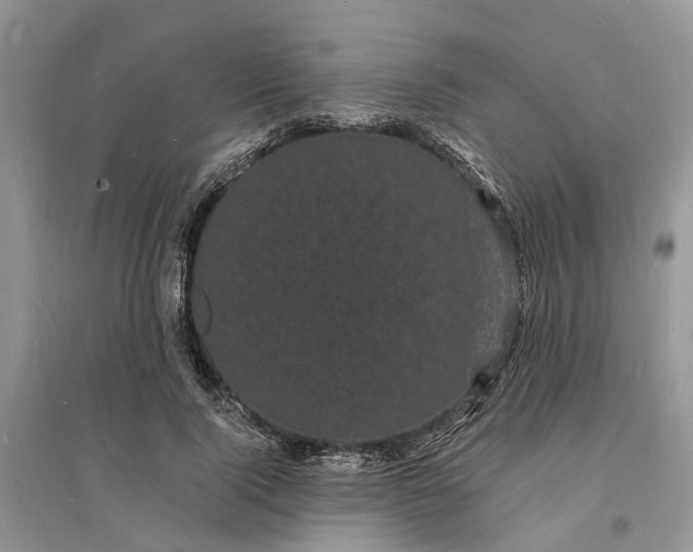 X0000096390740200802071536