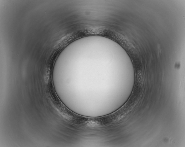 X0000096390741200802071536