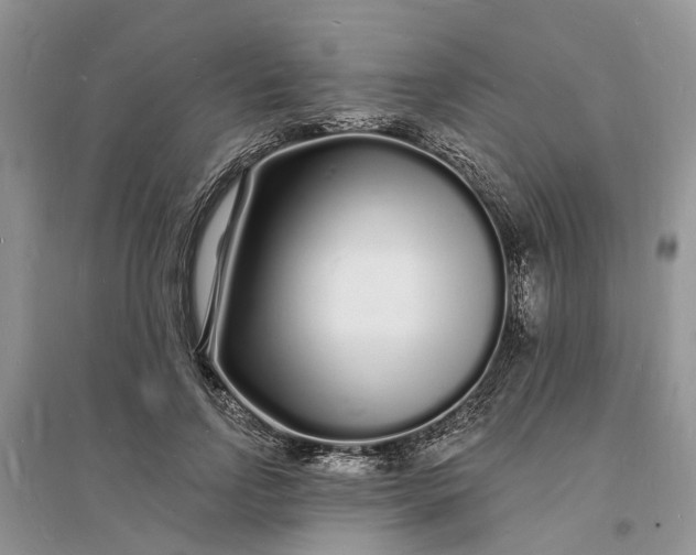 X0000096390742200802071536