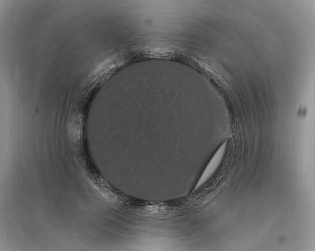 X0000096390744200802071536