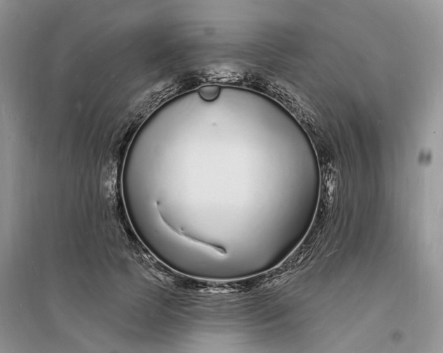 X0000096390745200802071536