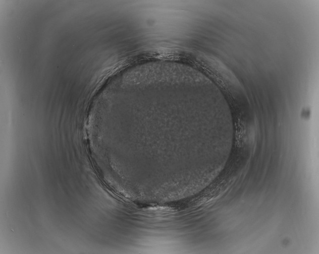 X0000096390748200802071536
