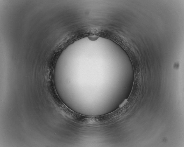 X0000096390750200802071536