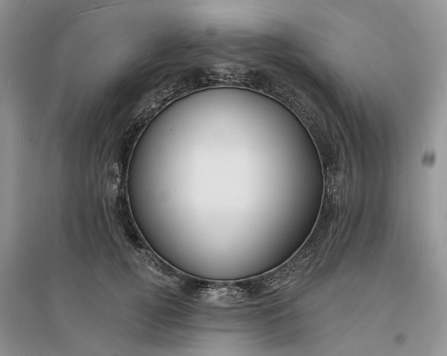 X0000096390752200802071536
