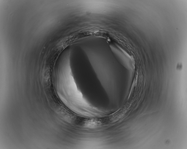 X0000096390754200802071536