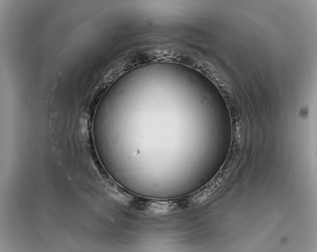 X0000096390757200802071537