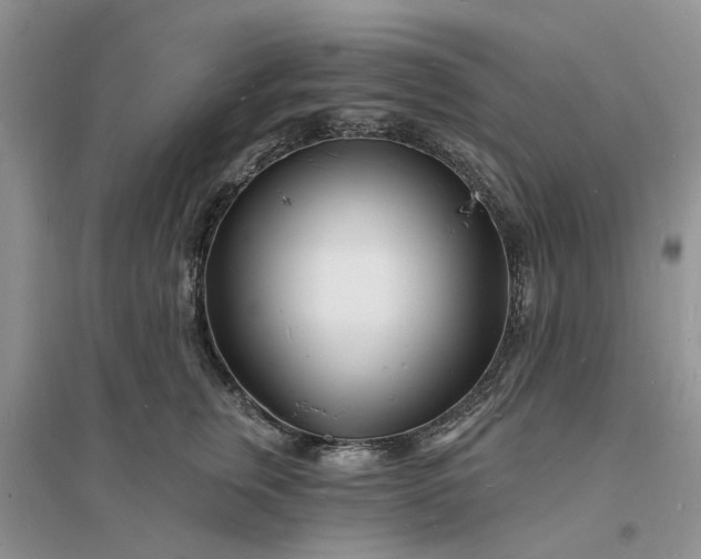 X0000096390759200802071537