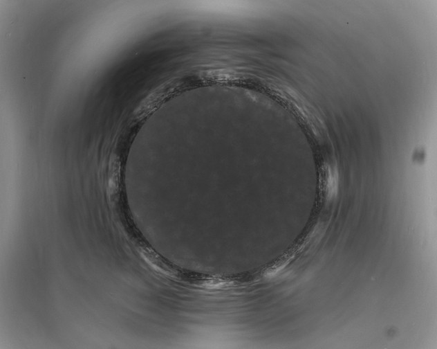 X0000096390760200802071537