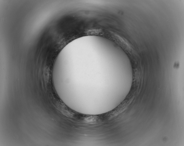 X0000096390761200802071537