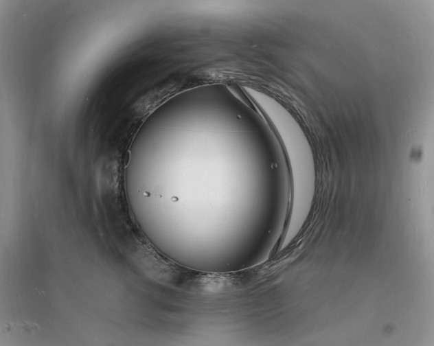 X0000096390762200802071537